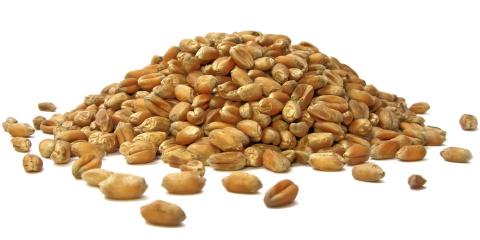 BULGUR: Kornet har en lett nøttaktig smak som de fleste liker. FOTO: colourbox.com BULGUR: Kornet har en lett nøttaktig smak som de fleste liker. FOTO: colourbox.com