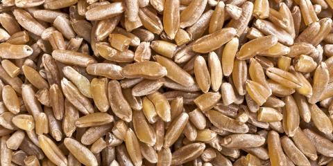 KAMUT: Kamut er næringsrikt og smaker mildt, smøraktig og nesten litt søtt. FOTO: iStockphoto KAMUT: Kamut er næringsrikt og smaker mildt, smøraktig og nesten litt søtt. FOTO: iStockphoto