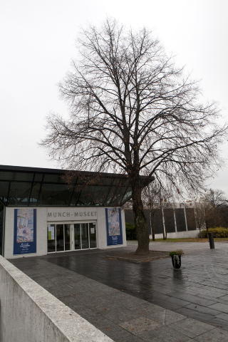 GLISSENT: Bes�kstallene til Munch-museet p� T�yen betraktes som oppsiktsvekkende lave med 125.000 bes�kende i �ret. Foto: Morten Holm / Scanpix