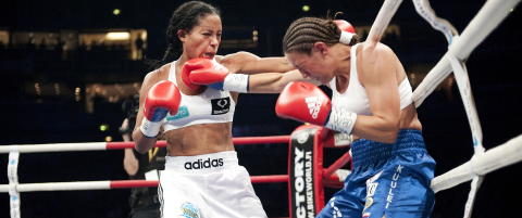 H�per � bokse p� hjemmebane i 2013