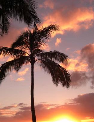 Millioner opps�ker de ber�mte solnedgangene p� �Lost�-�ya