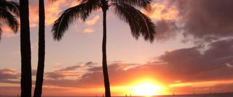 Millioner opps�ker de ber�mte solnedgangene p� �Lost�-�ya