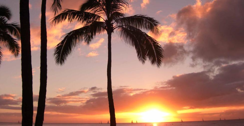 PARADIS: Hawaii er forst�elig nok best kjent for sine strender og vakre solnedganger. Foto: TOM HELGESEN