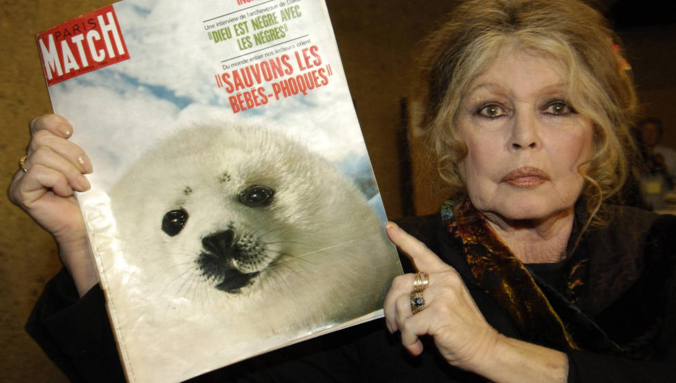 FIKK STOPPET SELPRODUKTER: �I 1977 bes�kte Brigitte Bardot selfangstomr�dene ved Newfoundland sammen med et femtitalls journalister. Resultatet var et EU-forbud mot selprodukter. Dette �dela markedet for kanadiske og gr�nlandske fangere,� skriver kronikkforfatteren. Foto: Denis Balibouse/Reuters/Scanpix