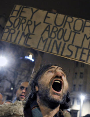 Ungarns nye politiske system