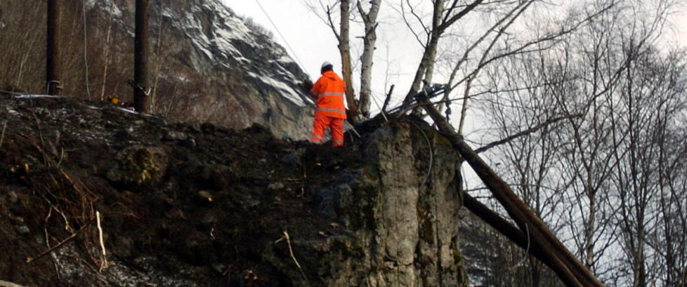 «Dagmar» ødela skog for 100 millioner