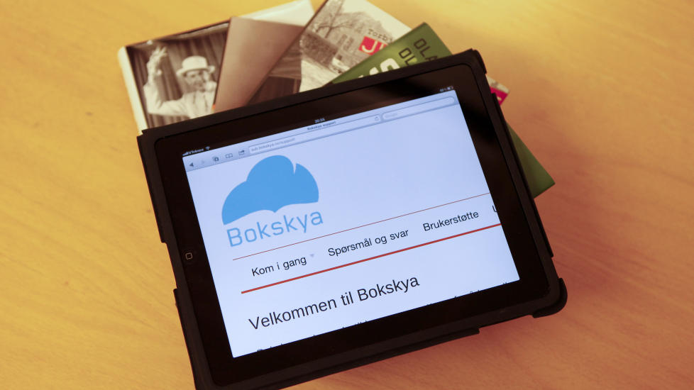 GLEMT? Eb�kene blir viet lite oppmerksomhet i den nye rapporten om norsk litteratur. Det misliker den norske bokbransjen. Foto: Marianne L�vland / Scanpix
