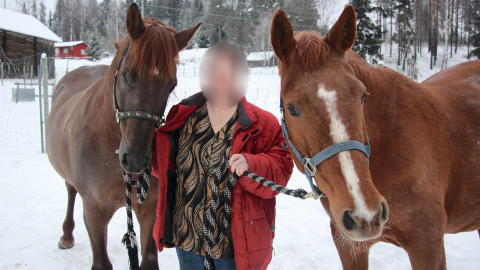 D�MT: �snes-kvinnen ble frad�mt retten til � ha hund i Norge for alltid i 2010. N� har hun flyttet til en g�rd i J�mtland, og har stadig nye valpekull. Her er hun avbildet p� g�rden hun hadde i �snes i Hedmark. Foto: Kjell-Ivar W�lberg/Gl�mdalen