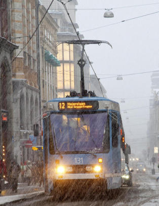H�lke p� �stlandsveiene