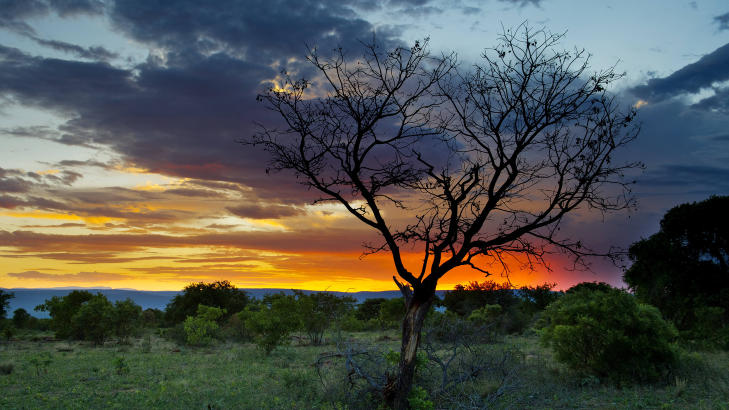 AFRIKA: Et hot reisem�l i �r. Her er solnedgangen inne p� Matswani-reservatet I Waterbergfjellene i S�r-Afrika. Foto: JOHN TERJE PEDERSEN