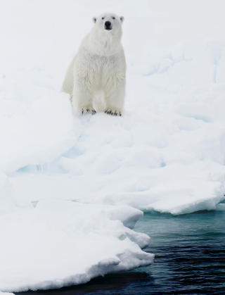 SVALBARD: Et av vinterens mest spennende reisem�l. Foto: LARS MYHREN HOLAND