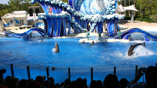 ORLANDO: Florida er popul�rt for barnefamiliene, her fra Sea World i Orlando. Foto: KIRSTEN M. BUZZI