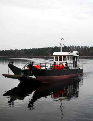 Et f&oslash;lsomt problem