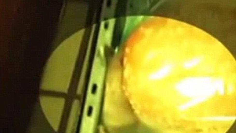 HAMBURGERMUS: Musen l�per rundt hamburgerbr�dene p� innsiden av plasten. Video: Karruim Demaio.