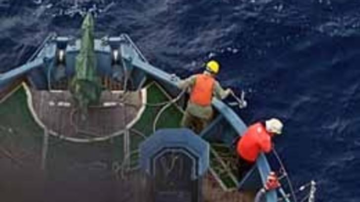 - JERNKROKER: Dette bildet beviser at hvalfangerne angrep Sea Shepherd-aktivistene, if�lge dem selv. Foto: Sea Shepherd
