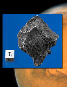 Mars-steiner funnet p� jorda
