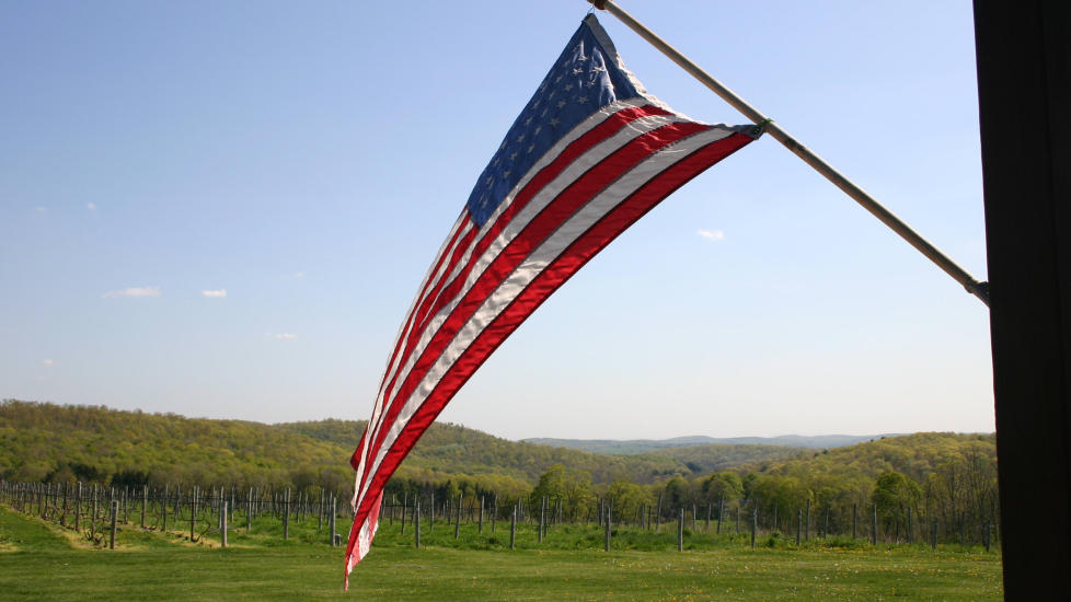 BEST I TEST: Det er 35 �r siden en amerikansk vin beseiret noen av de beste franske i en blindtest. Det er bare � konstatere at USA lager mye fantastisk vin, som her p� Millbrook Vineyards, New York. Foto: KIRSTEN M. BUZZI