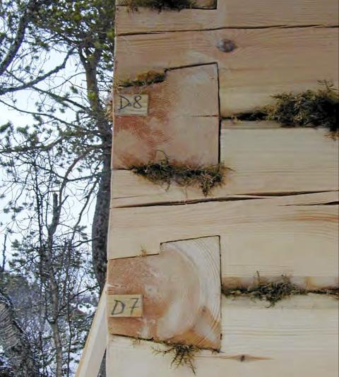 BYGGEKUNST I H�YFJELLET: Her ser du hvordan laftekassen er bygd opp og isolert med mose i hj�rnene og langs t�mmerstokkene. Den spesielle lafteteknikken er en gammel type som ble mye brukt p� R�ros.  Foto: Bendik Manum