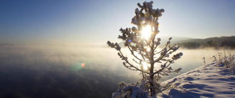 32,7 grader forskjell p� kaldest og varmest: �lesund: 6,2 grader, Folldal: - 26,5 grader