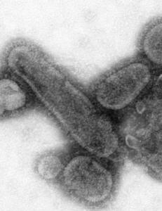 Frykt og forskningssensur