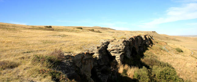 Kledde seg ut og fikk tusenvis av bison til � l�pe i d�den