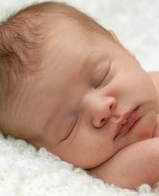 Barnevernet m�tte ta h�nd om Adolf Hitler