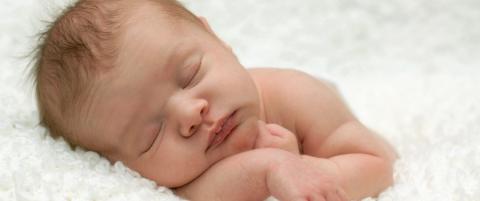 Barnevernet m�tte ta h�nd om Adolf Hitler