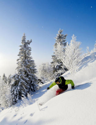 Jaaaaaaaaaaaaaaa, det er superforhold i bakken