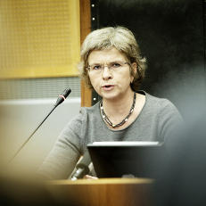 Avviser Breiviks grunnlag for anke