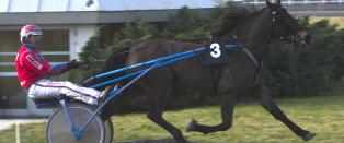 Forandringer i livet for V75-favoritt