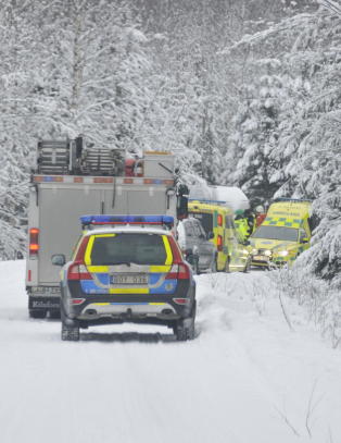 Jeger bitt i hodet av bj�rn i Sverige