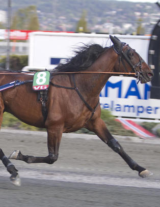 V75-tips ga 97 000 kroner