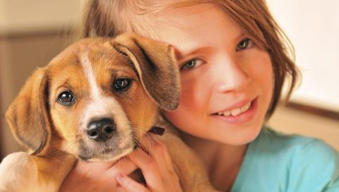 BEST MED HUND: En familiehund kan v�re et godt tilskudd til familien, men if�lge eksperter er norske familier for d�rlige til � velge rett hunderase. Foto: Istockphoto
