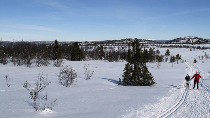 LANGRENNSTOPPEN: Nesbyen vil innta langrennstoppen i l�pet av helga. Foto: OLE C. H. THOMASSEN