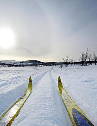 Det er bare � komme seg til fjells