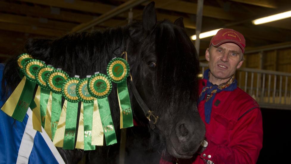 SAMLEMANI. Alm Taragon og Lars Romtveit samler p� rosetter fra Norsk Rikstoto for hver l�rdagstriumf. Men det er alltid plass til flere. Foto: HESTEGUIDEN.COM.