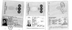 Passet avsl�rte Breiviks verdensturne