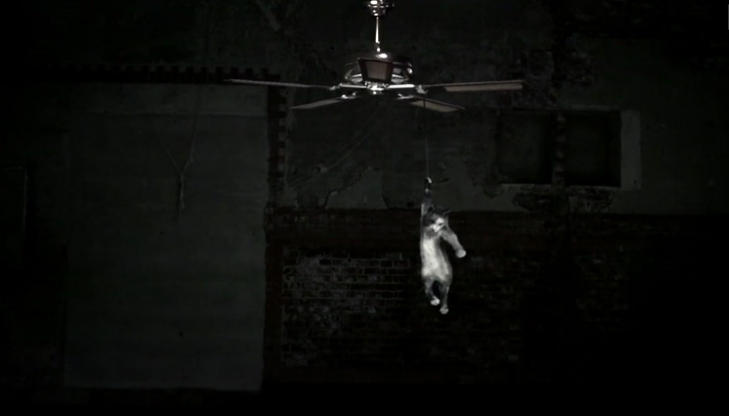 HENGER FRA VIFTE: Slik viser NextGenTels nyeste reklamefilm hvordan en katt tilsynelatende henger fra en vifte etter �n pote. Viften beveger seg med et rykk og katten svinges rundt. VIDEO: Next Gentel