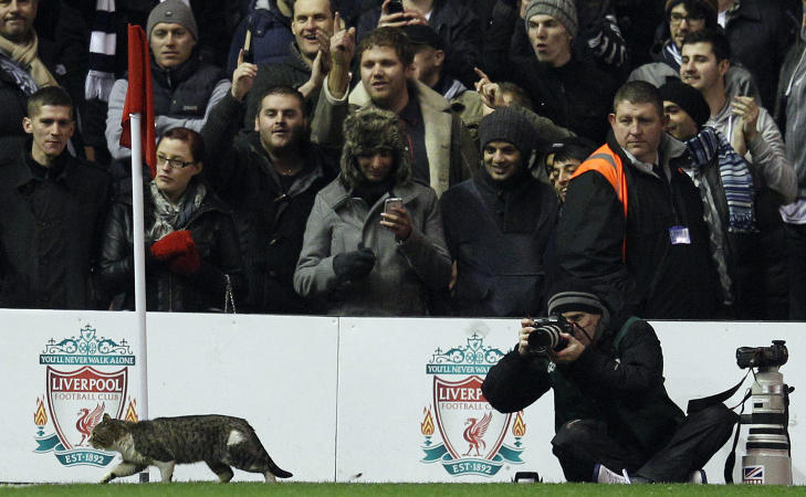BORTEKATT? Katten viste ingen opplagte sympatier, og ble derfor ogs� trykket til Tottenham-supporternes bryst. �You're Spurs and you know you are!� sang bortefansen da pusen fant veien til deres side av banen. Foto: Phil Noble, Reuters/Scanpix