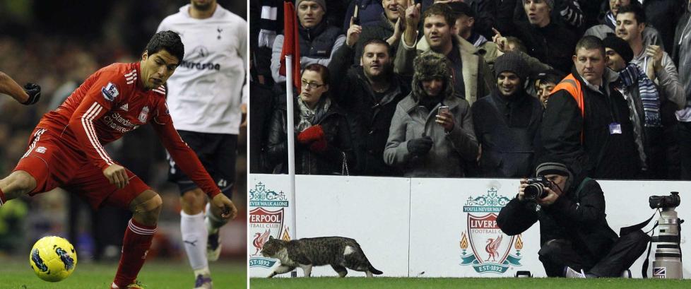 Katta stjal showet i Suarez-comeback