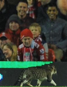 Slik ble Anfield-katten hyllet av The Kop