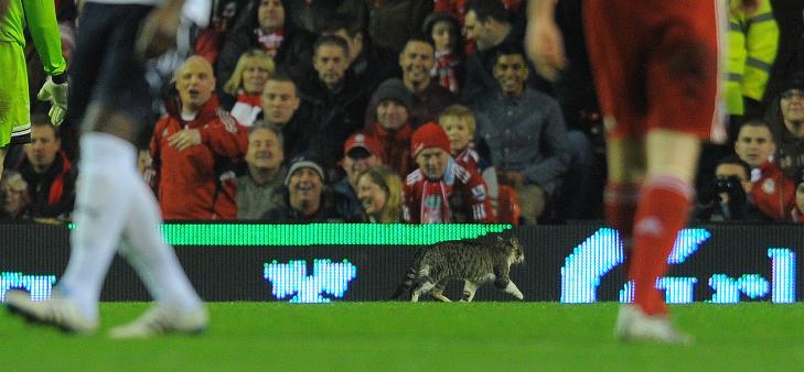 Slik ble Anfield-katten  hyllet av The Kop