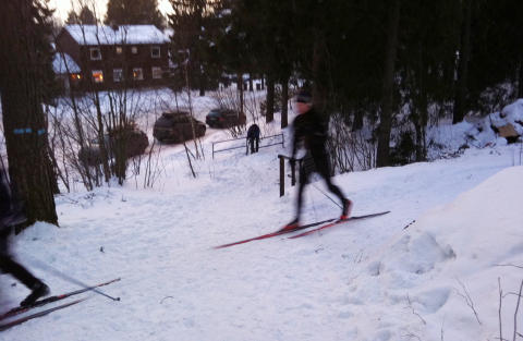 Kvinne (77)  funnet sterkt nedkj�lt etter overfall i skogholt
