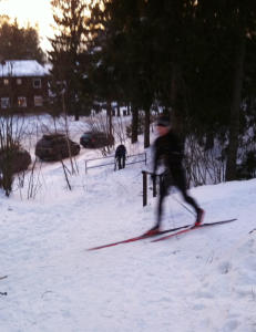 Eldre kvinne overfalt i skogholt i Oslo