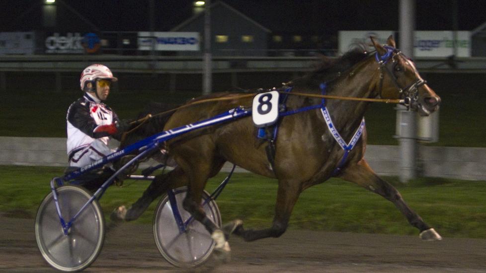 USIKKER FORM. Movie Q.C. vant l�p p� l�p i fjor. Onsdag er hoppa storfavoritt i V65-omgangen p� Bjerke. Men treneren er usikker. Foto: HESTEGUIDEN.COM.