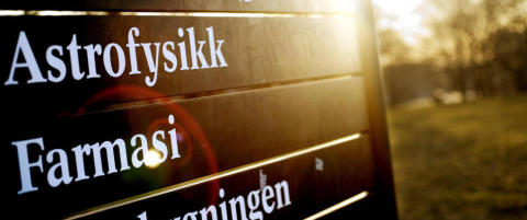 Akademisk tidskultur og kvinners karrieremuligheter