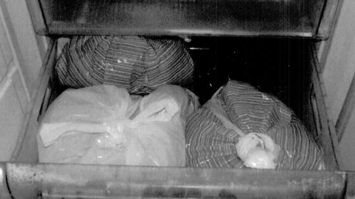 I PLATPOSER: I denne fryseren oppbevarte kvinnen de drepte kattungene i plastposer. Foto: Politiet