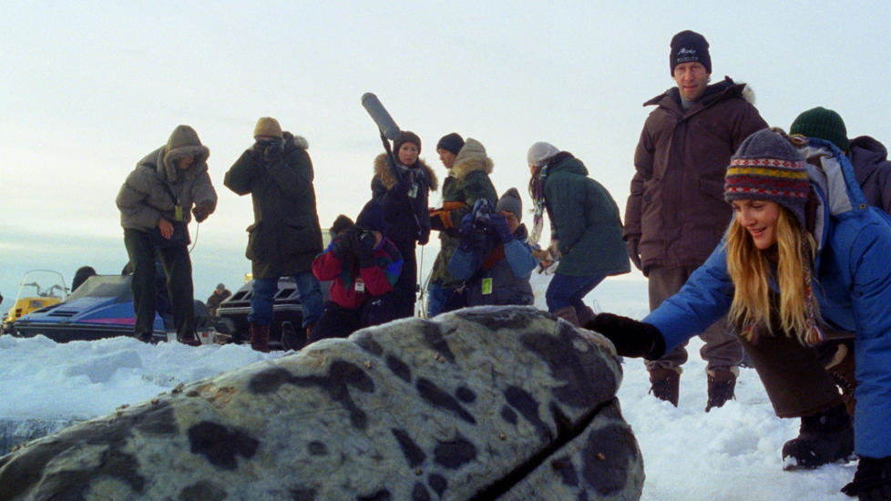 FANGET: Milj�aktivisten Rachel Kramer, spilt av Drew Barrymore, pr�ver � redde tre gr�hvaler i �Big Miracle�.