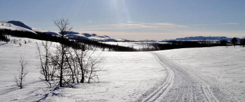 Er isen i Arktis n�kkelen til bedre v�rvarsel?