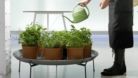 URTER: I kj�kkenhagen finnes et urtebord med en gammel gartnerlampe med plantelys nedsenket over den. Foto: Ivan Brodey
